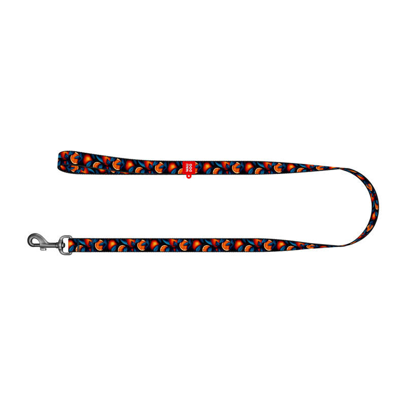 Nylon dog leash "Oranges" 122 cm Waudog