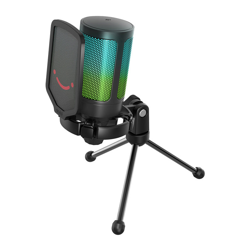 Fifine Gaming condenser microphone A6V (black)