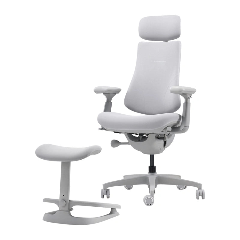 Ergonomic chair LiberNovo Omni Dynamic 45cm (gray)