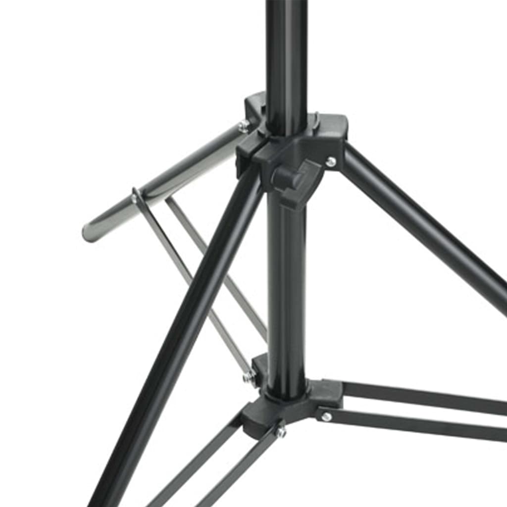 vidaXL Κιτ Φωτισμού Φωτογραφικού Στούντιο με Softbox και Φόντο