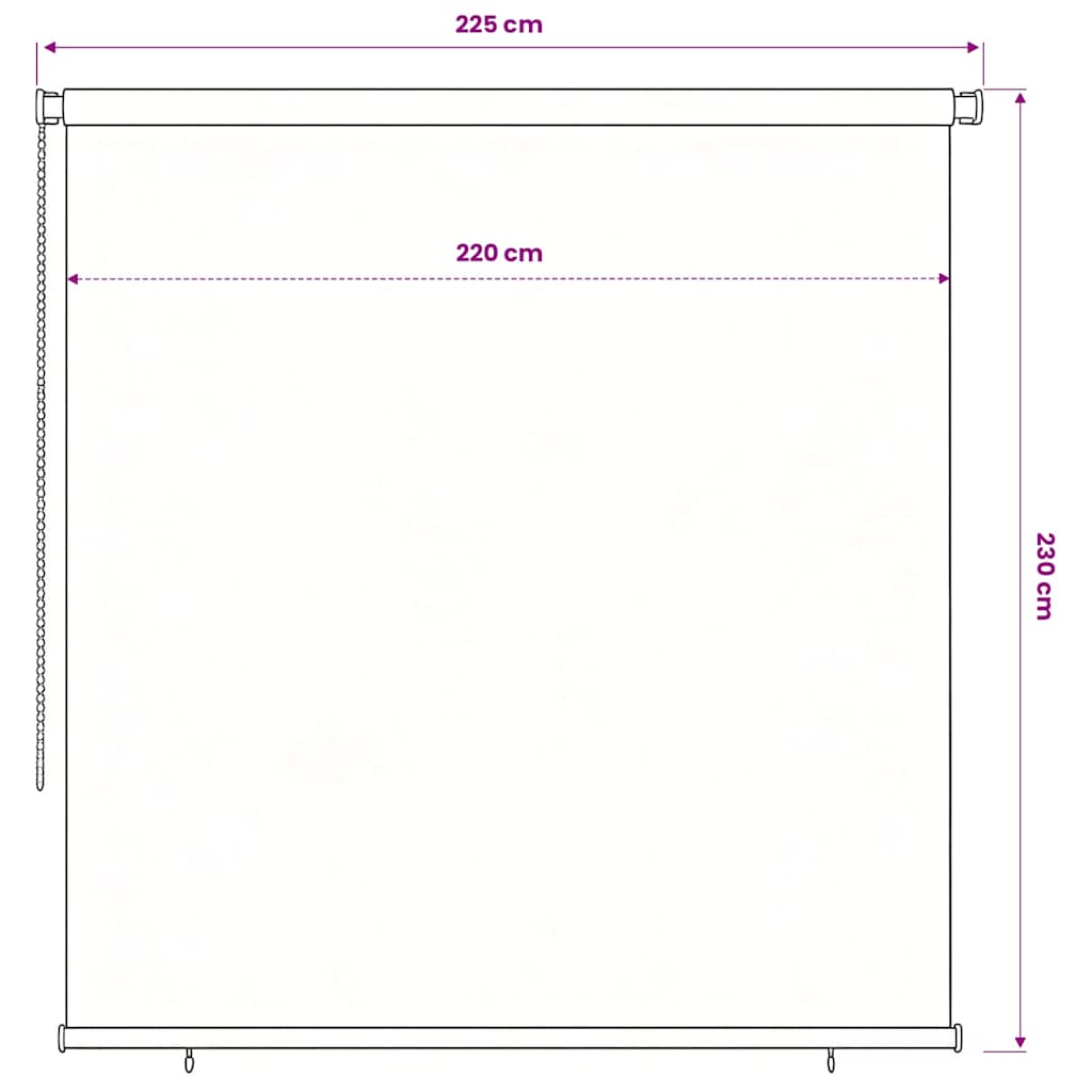 vidaXL Στόρι Σκίασης Ρόλερ Εξωτερικού Χώρου 245(Π) x 230(Υ) εκ. Μπλε HDPE