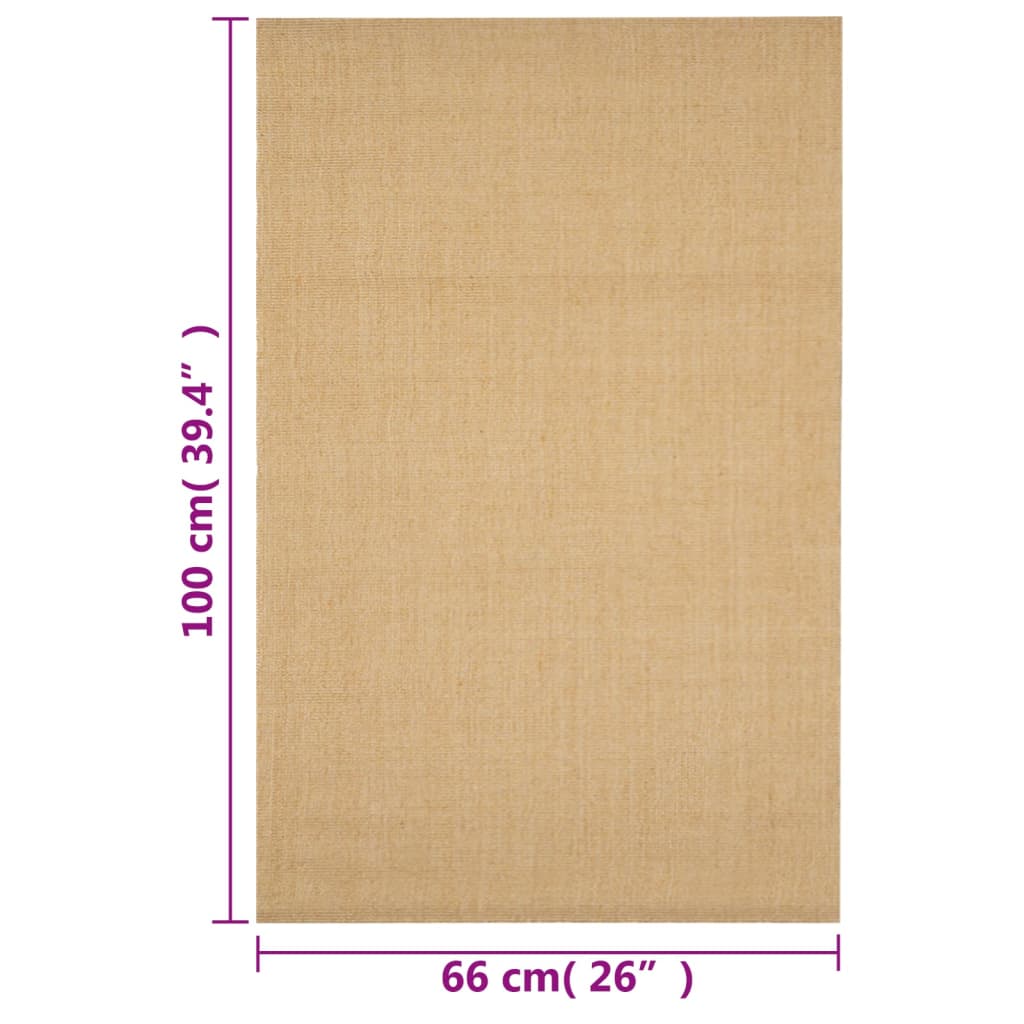 vidaXL Χαλί 66 x 100 εκ. από Φυσικό Σιζάλ