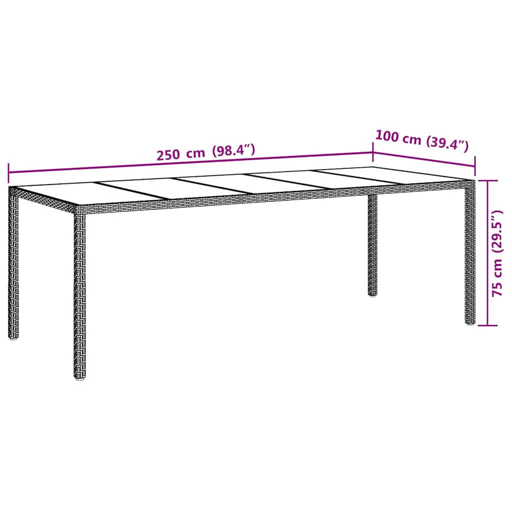 vidaXL Τραπέζι Κήπου Ακατέργαστο Μαύρο 250 x 100 x 75 cm