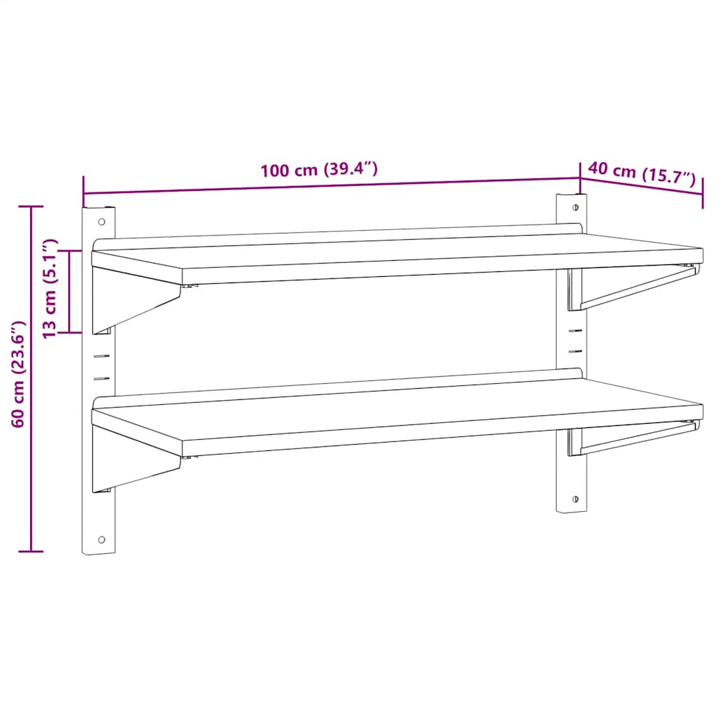 vidaXL Ράφι Τοίχου 2 Επιπ. Ασημί 100x40x60 εκ. Ανοξείδωτο Ατσάλι