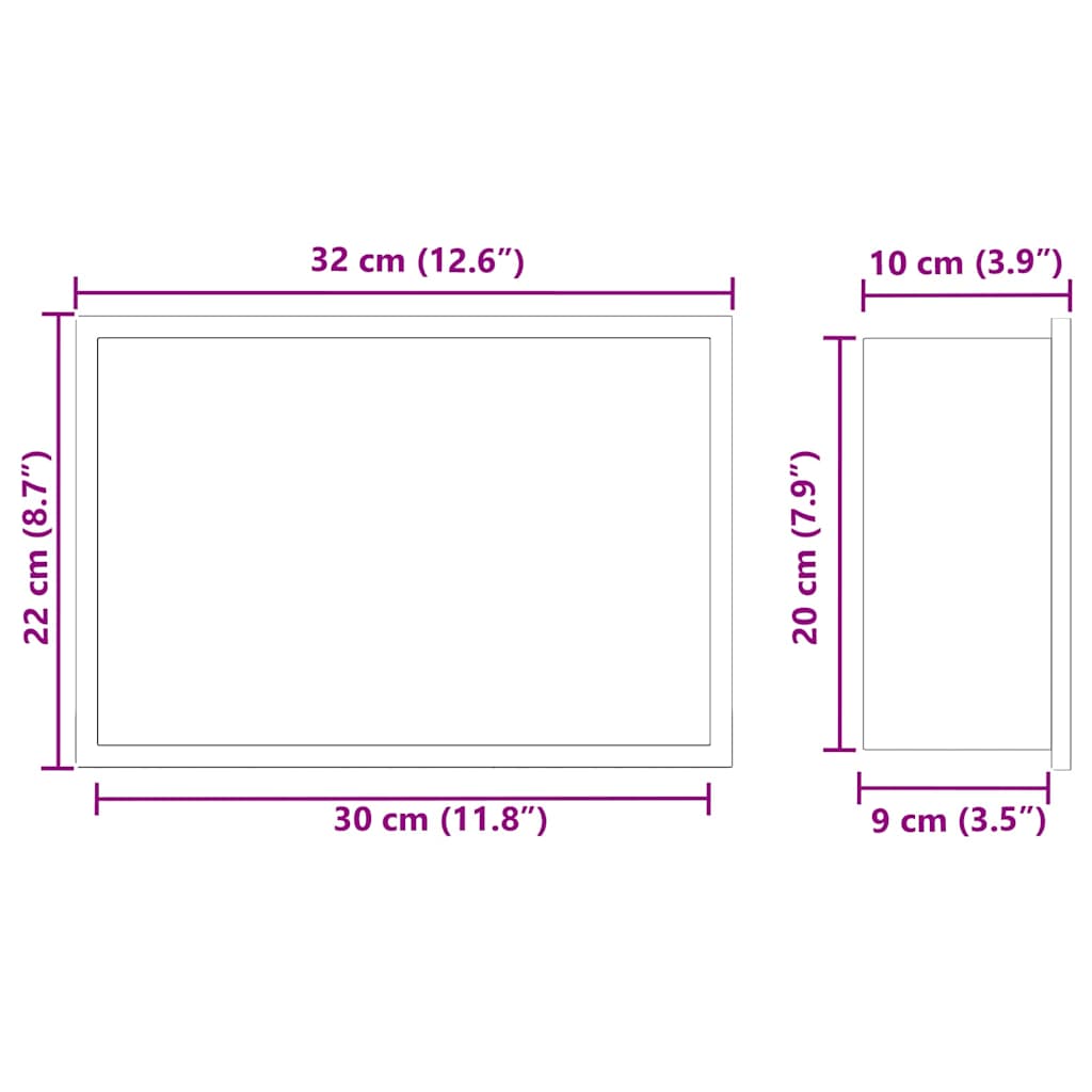 vidaXL Νίτσα Μπάνιου Ασημί 30 x 20 x 9,5 εκ. Ανοξείδωτο ατσάλι