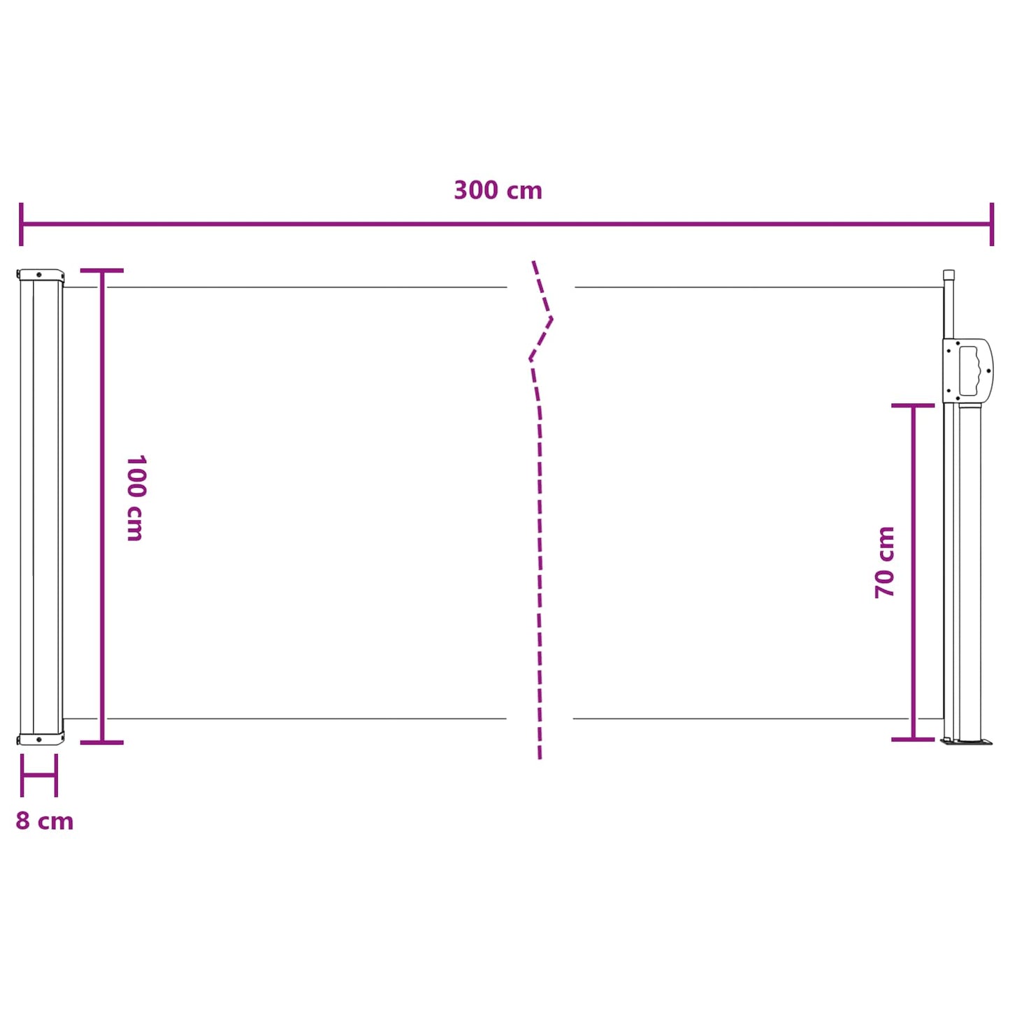 vidaXL Ανακλινόμενος Πλευρικός Απλώστρα 300 x 100 cm Πολυεστέρας