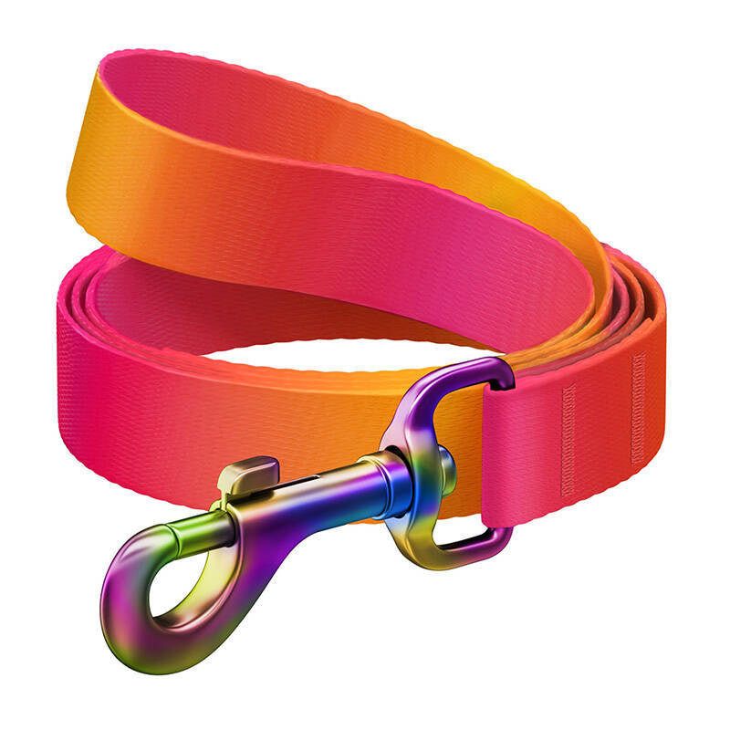 Nylon dog leash WAUDOG gradient, lgth. 122cm, orange