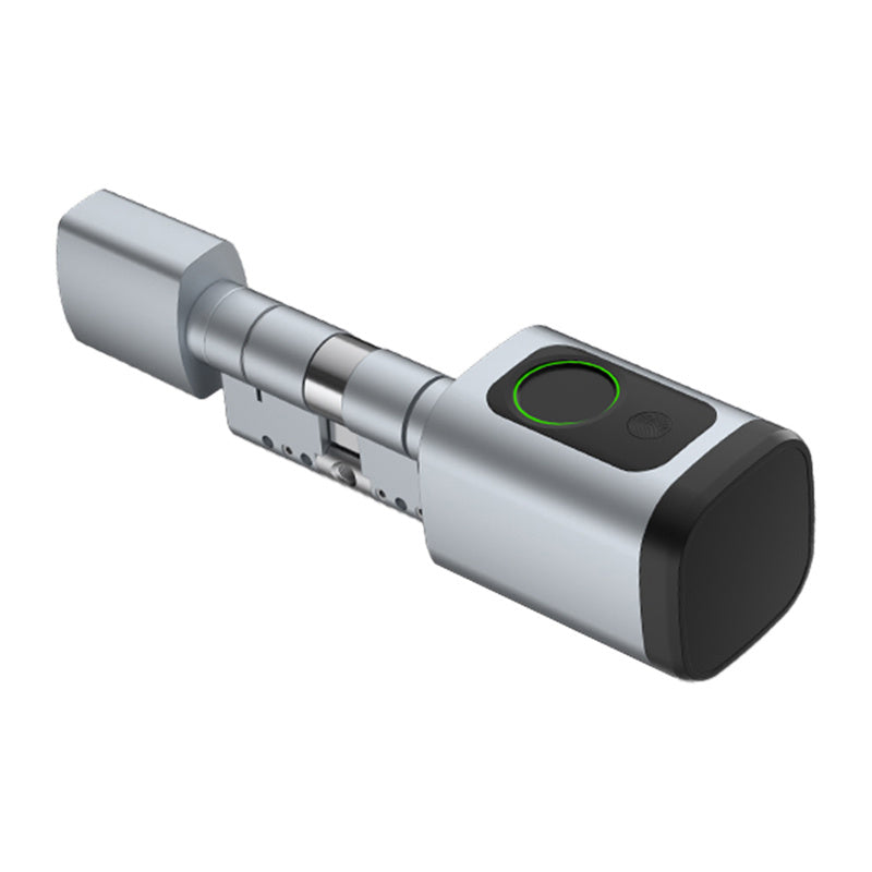 Avatto SDL-V1-S100 Digital Lock Cylinder 100mm