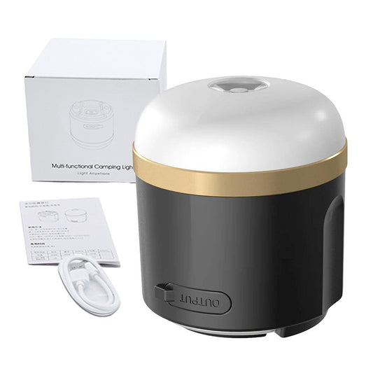 EcoFlow Camping Light (N)