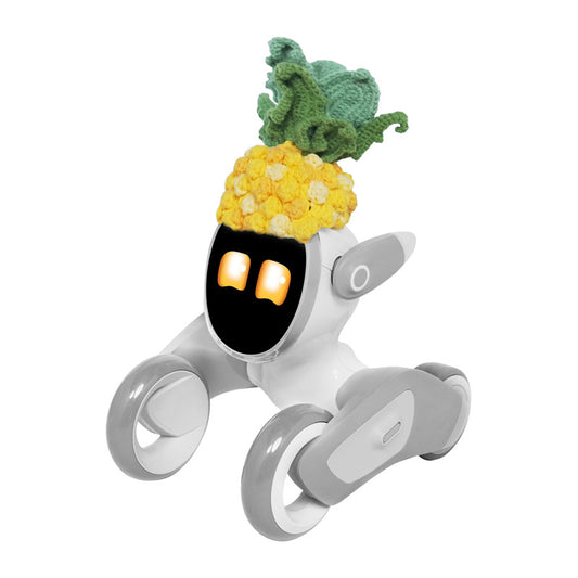 Costume Loona Knitted Pineapple