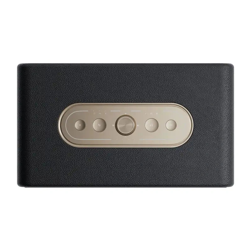 QCY SP300 wireless speaker (black)