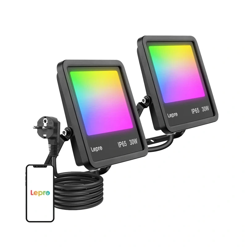 Floodlight Lepro F1 30W