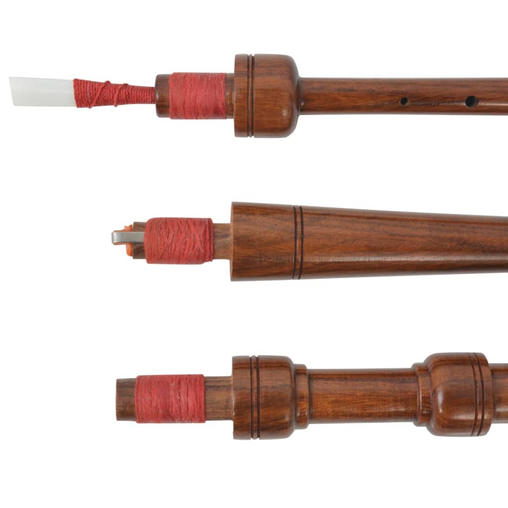 vidaXL Γκάιντα Σκωτσέζικη Παιδική Σκωτσέζ. Καρό Κόκκινο Royal Stewart