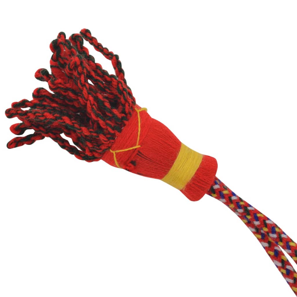 vidaXL Γκάιντα Σκωτσέζικη Παιδική Σκωτσέζ. Καρό Κόκκινο Royal Stewart