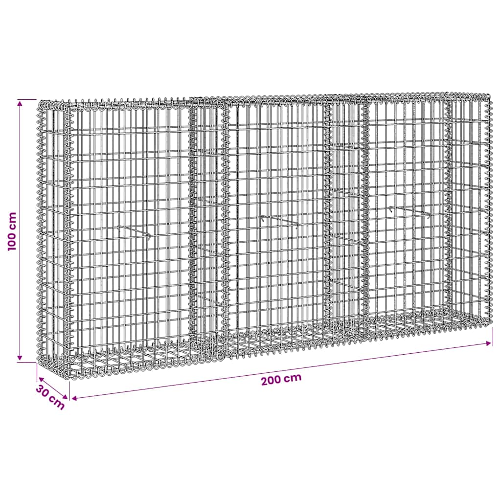 vidaXL Συρματοκιβώτιο 200 x 30 x 100 εκ. από Γαλβανισμένο Χάλυβα