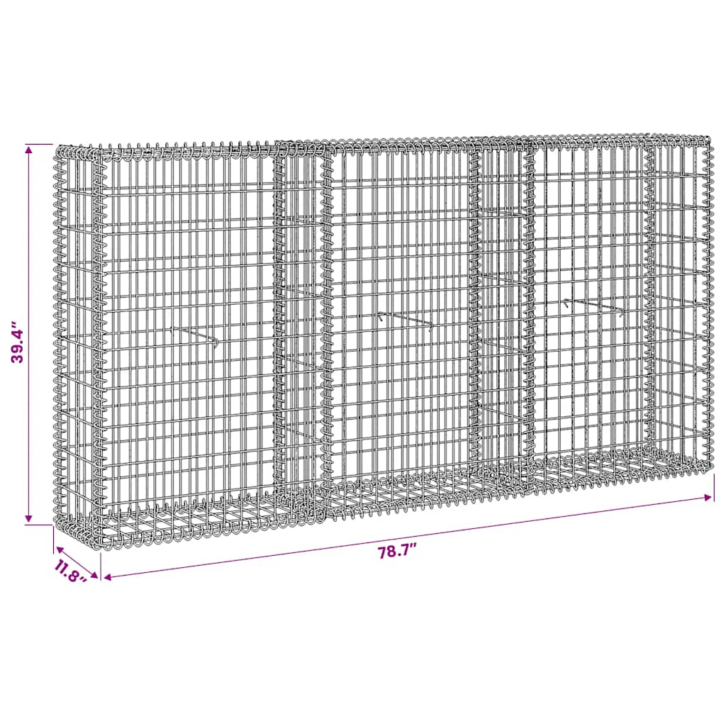 vidaXL Συρματοκιβώτιο 200 x 30 x 100 εκ. από Γαλβανισμένο Χάλυβα
