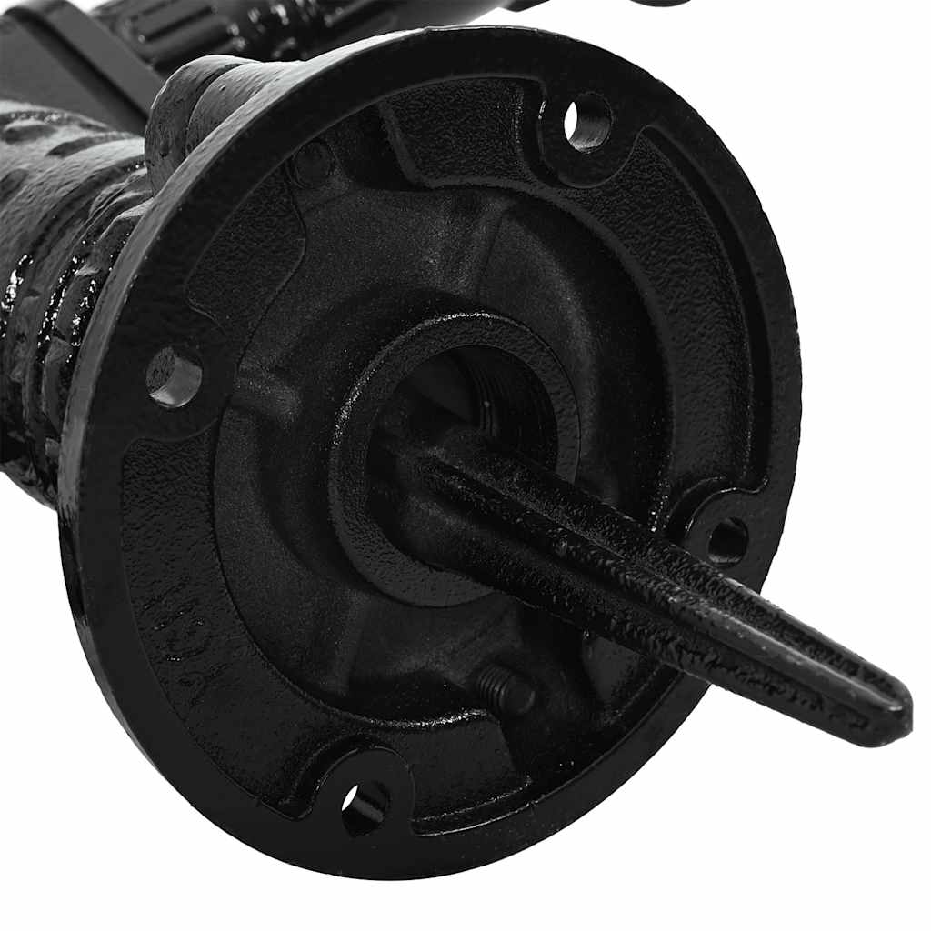 vidaXL Αντλία / Τουλούμπα Νερού Κήπου από Χυτοσίδηρο