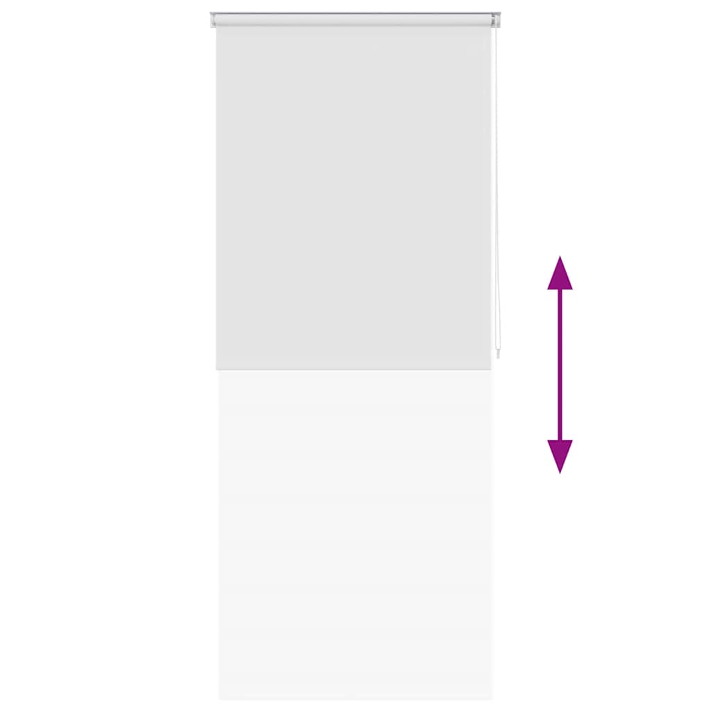 vidaXL Κουρτίνα Μπάνιου Ρολό Λευκή 120 x 240 εκ.