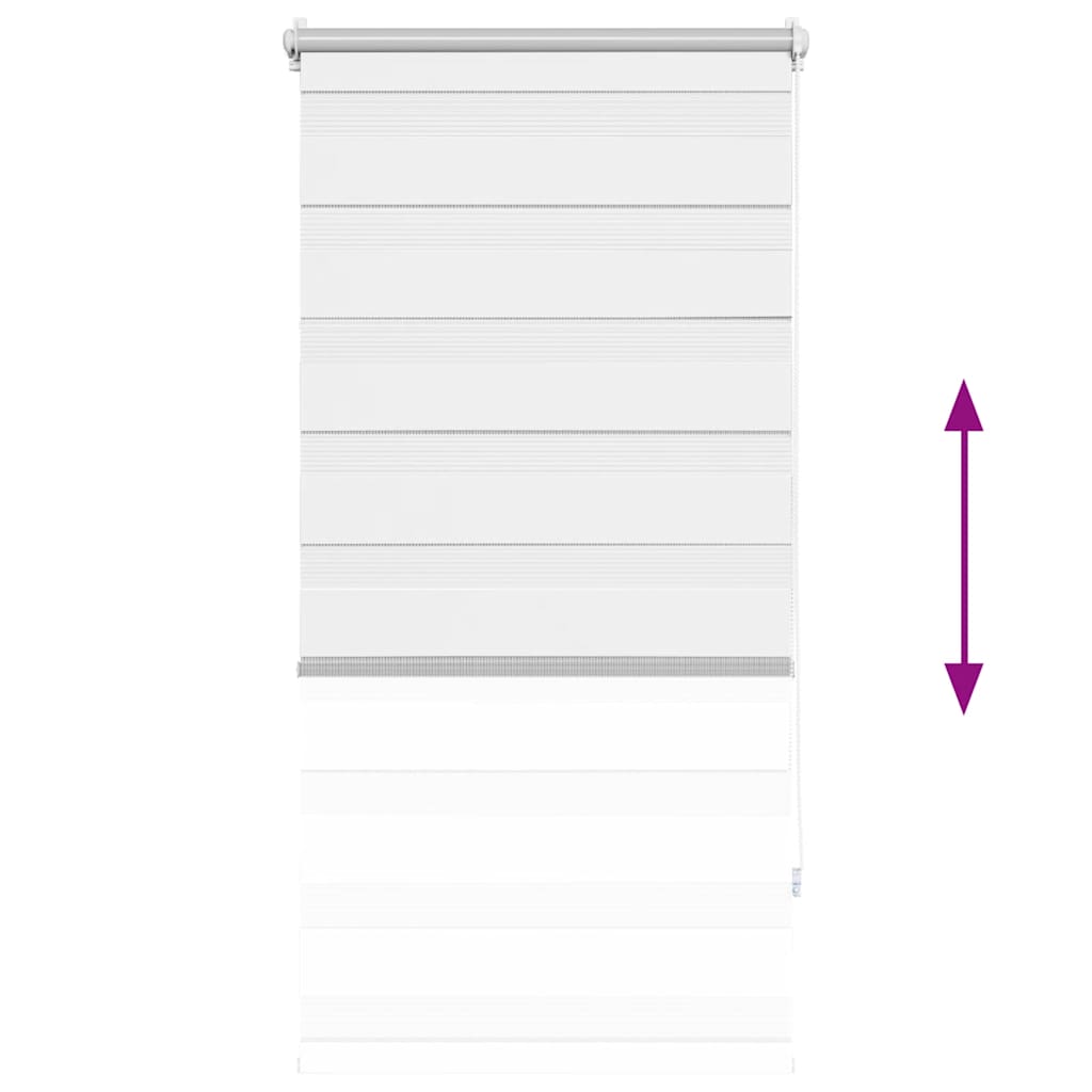 vidaXL Ρόλερ Zebra Λευκό 60 x 120cm