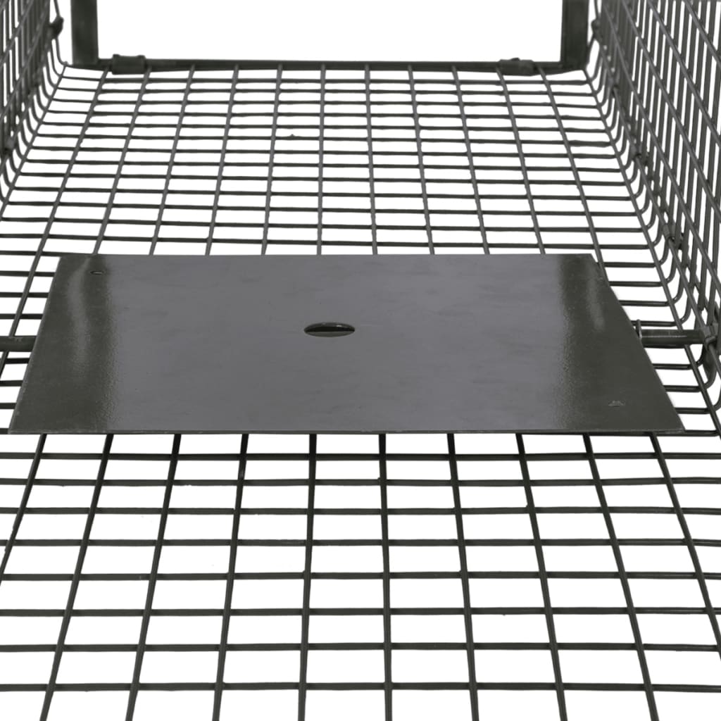 vidaXL Παγίδα Ζώων με 2 Πόρτες