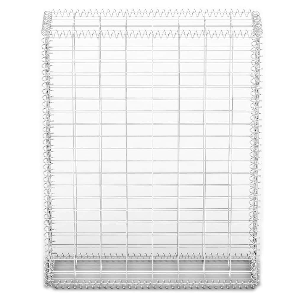 vidaXL Συρματοκιβώτιο 100 x 80 x 30 εκ. Γαλβανισμένο Σύρμα με Καπάκια