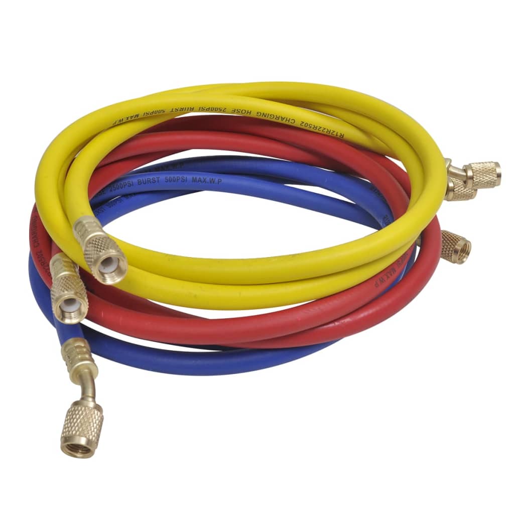 Σετ Εργαλείων Ελέγχου Πίεσης με Μανόμετρα 2 Εξόδων σε Κασετίνα