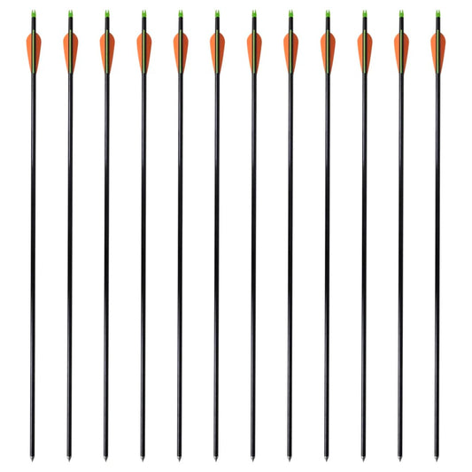 Βέλη για Σύνθετο Τόξο 12 τεμ. 30" 0,8 εκ. από Fiberglass