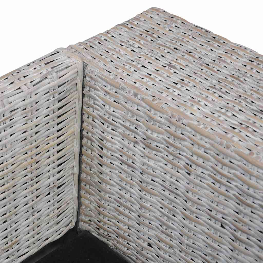 vidaXL Καναπές Διθέσιος Γκρι από Γνήσιο Ρατάν με Μαξιλάρια