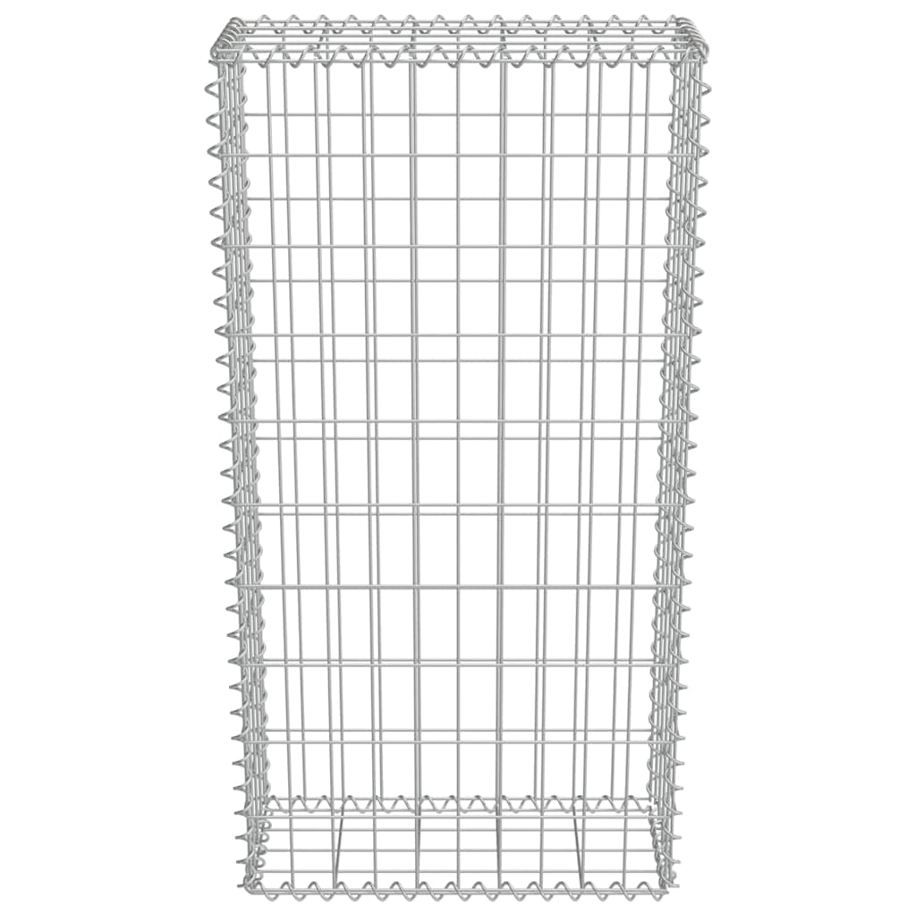 vidaXL Συρματοκιβώτιο Τοίχος 50x20x100 εκ. Γαλβαν.Χάλυβας + Καλύμματα