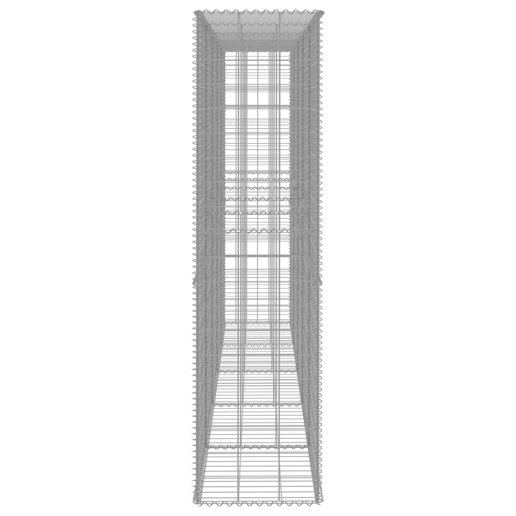 vidaXL Συρματοκιβώτιο Τοίχος 300x50x200 εκ. Γαλβαν.Χάλυβας + Κάλυμμα