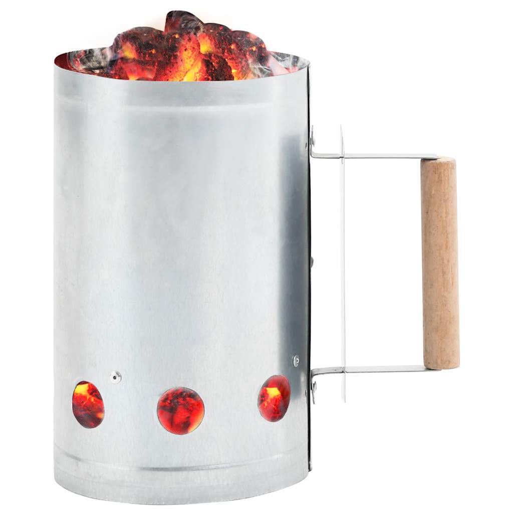 vidaXL Δοχείο Εκκίνησης για Κάρβουνα από Γαλβανισμένο Ατσάλι