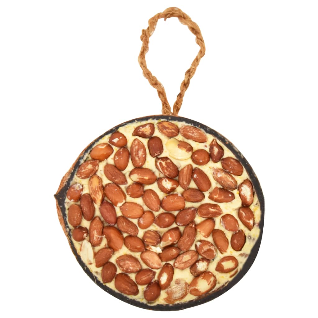 vidaXL Τροφή Πτηνών σε Γεμισμένες Καρύδες 10 τεμ. 290 γρ.