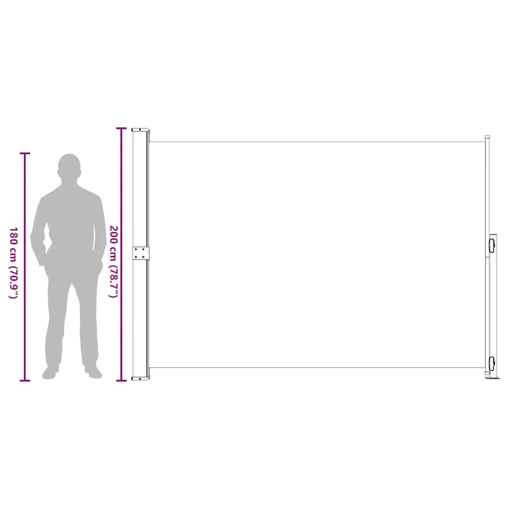 vidaXL Σκίαστρο Πλαϊνό Συρόμενο Βεράντας Μαύρο 200 x 300 εκ.
