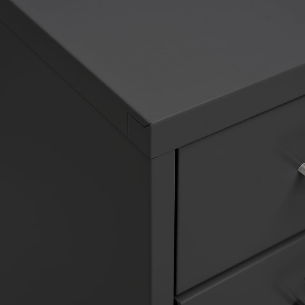 vidaXL Αρχειοθήκη Φορητή Ανθρακί 28 x 41 x 109 εκ. Μεταλλική