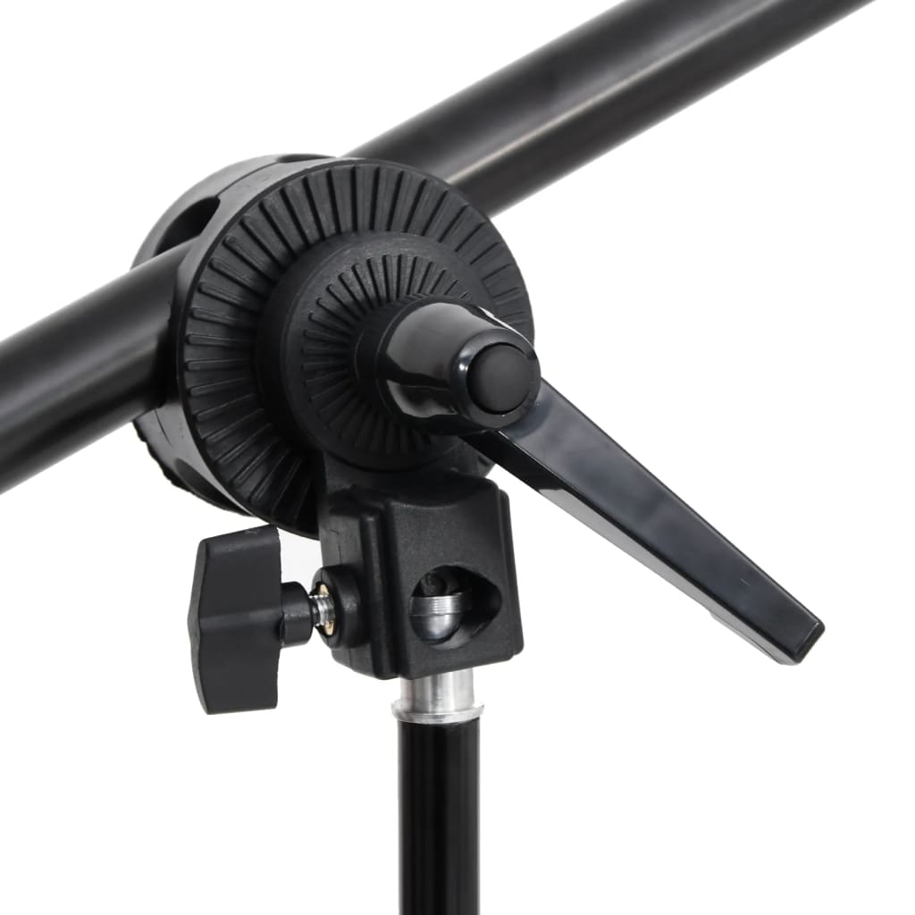 vidaXL Κιτ Φωτογραφικού Στούντιο με Σετ Φώτα, Φόντο & Ανακλαστήρα