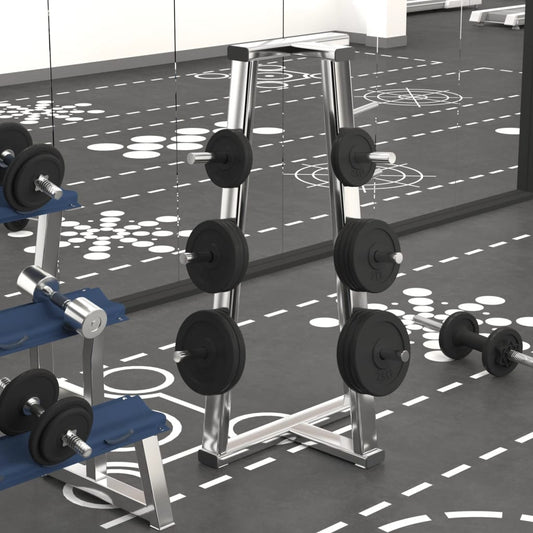 vidaXL Δίσκοι Βαρών 6 τεμ. 30 κ. από Χυτοσίδηρο