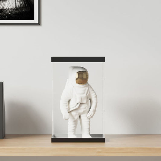 vidaXL Κουτί Βιτρίνα Διάφανο 22 x 18 x 35 εκ. Ακρυλικό