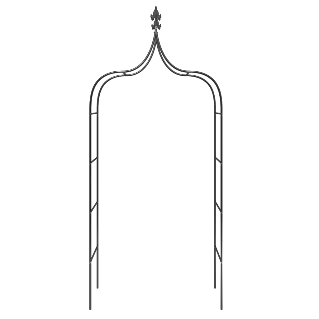 vidaXL Καμάρες Κήπου 2 τεμ. Μαύρες 120 x 38 x 260 εκ. από Ατσάλι