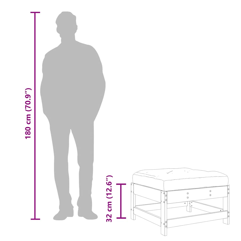 vidaXL Υποπόδια Κήπου με Μαξιλάρια 2 τεμ. από Μασίφ Ξύλο Ψευδοτσούγκας