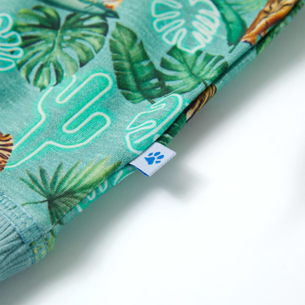 Φούτερ Παιδικό Ανοιχτό Πράσινο Μελανζέ 104