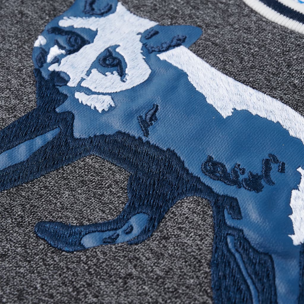 Φούτερ Παιδικό Ναυτικό Μπλε Μελανζέ 116