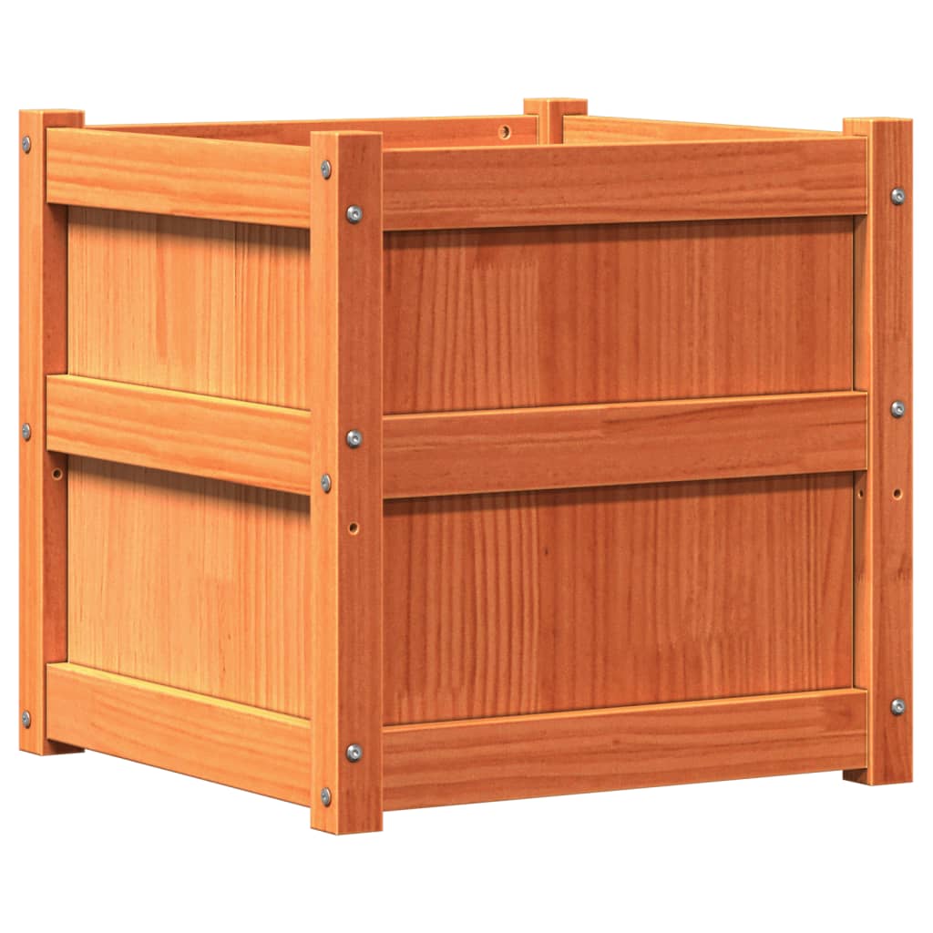 vidaXL Ζαρντινιέρα Καφέ Κεριού 50 x 50 x 50 εκ. από Μασίφ Ξύλο Πεύκου