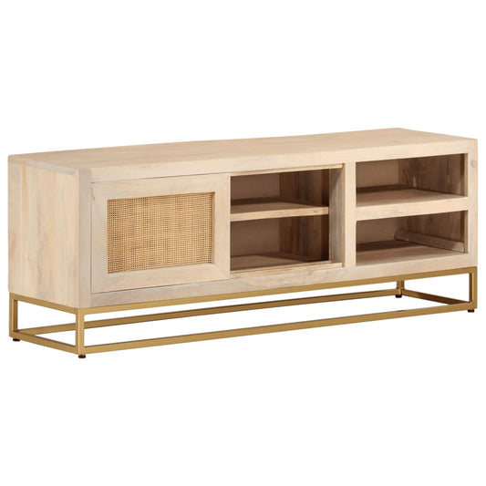 vidaXL Έπιπλο Τηλεόρασης 110 x 30 x 40 εκ. Μασίφ Ξύλο Μάνγκο & Σίδηρος
