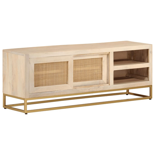 vidaXL Έπιπλο Τηλεόρασης 110 x 30 x 40 εκ. Μασίφ Ξύλο Μάνγκο & Σίδηρος