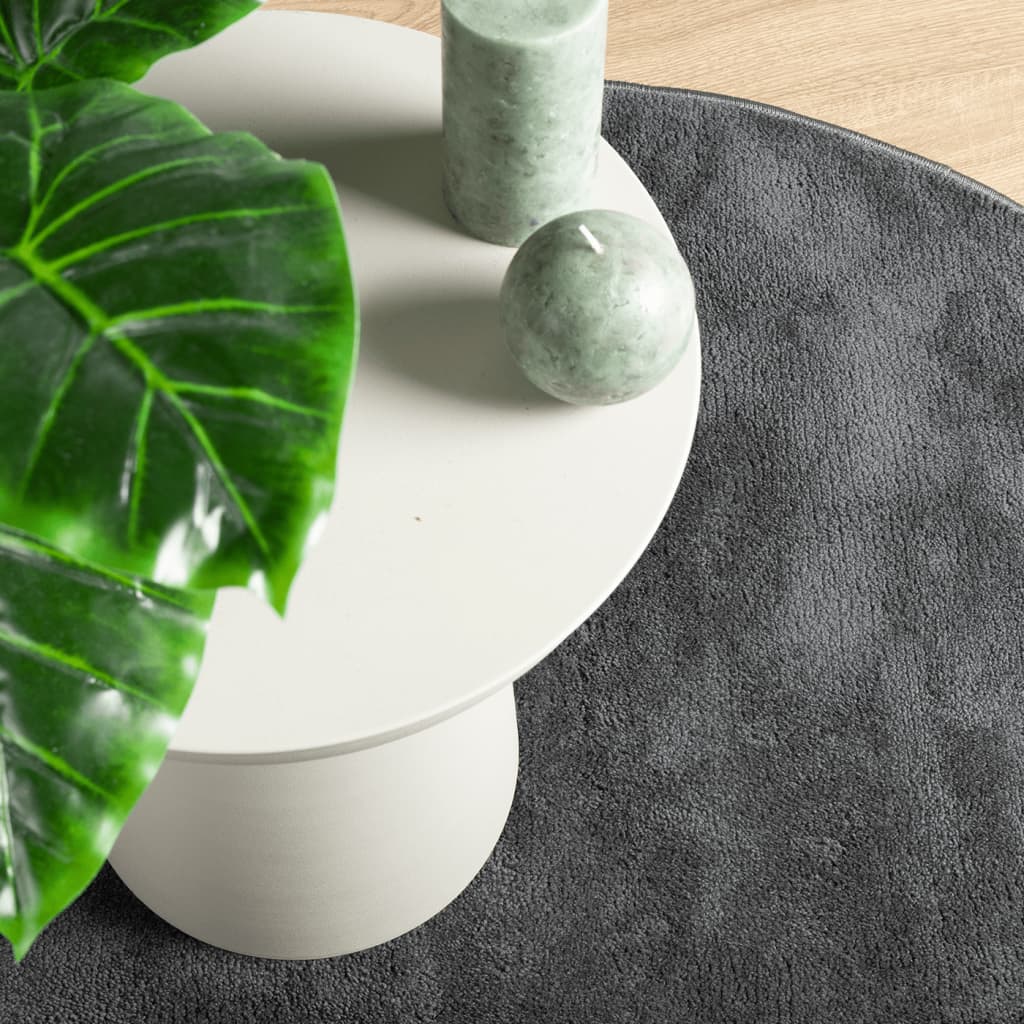 vidaXL Χαλί OVIEDO με Κοντό Πέλος Ανθρακί Ø 200 εκ.