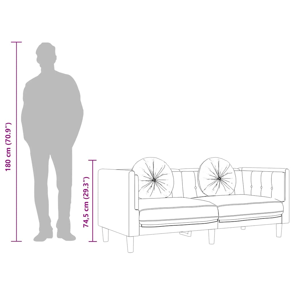 vidaXL Καναπές Διθέσιος Κρεμ από Βελούδο με Μαξιλάρια