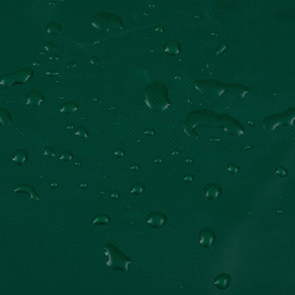 vidaXL Μουσαμάς Πράσινος 650 γρ./μ.² 4x5 μ.