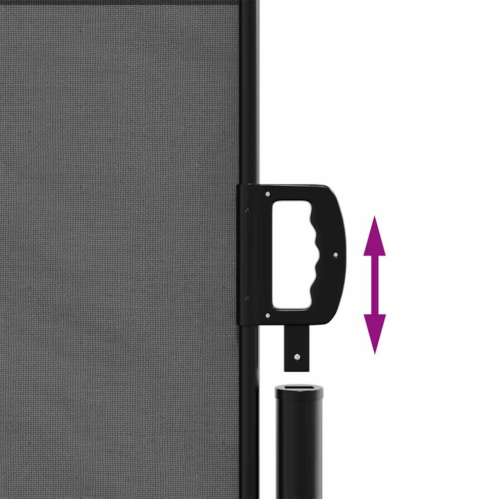 vidaXL Πτυσσόμενη Πλαϊνή Τέντα Ανθρακί 100x300 εκ.