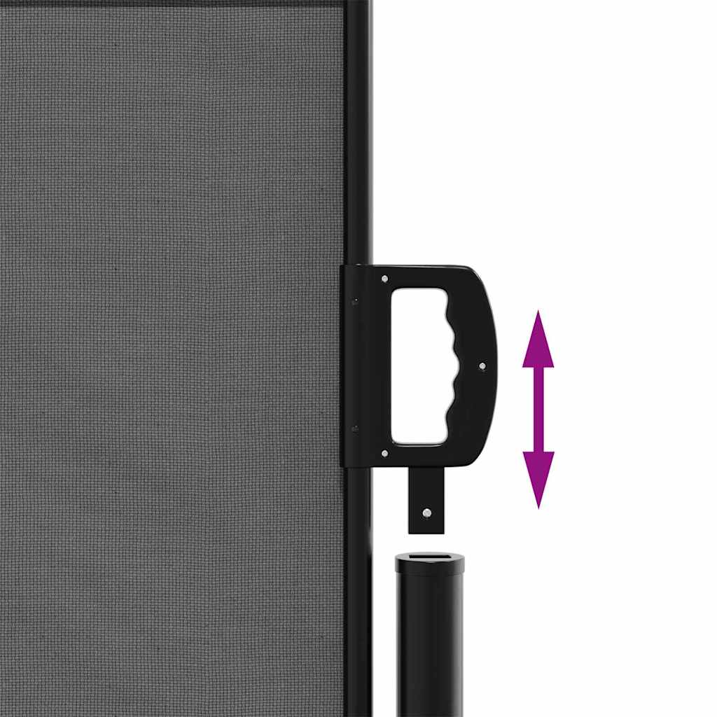 vidaXL Πτυσσόμενη Πλαϊνή Τέντα Ανθρακί 140x500 εκ.