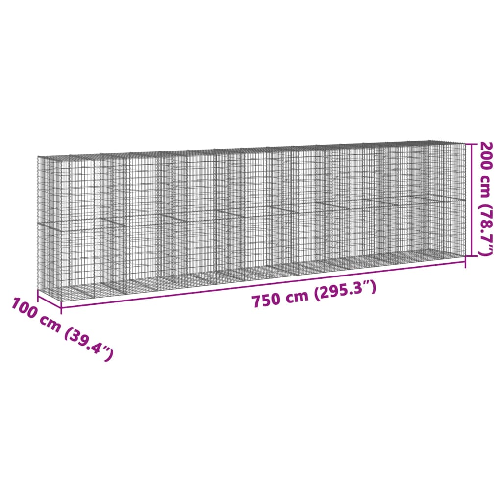 vidaXL Συρματοκιβώτιο με Κάλυμμα 750x100x200εκ από Γαλβανισμένο Χάλυβα